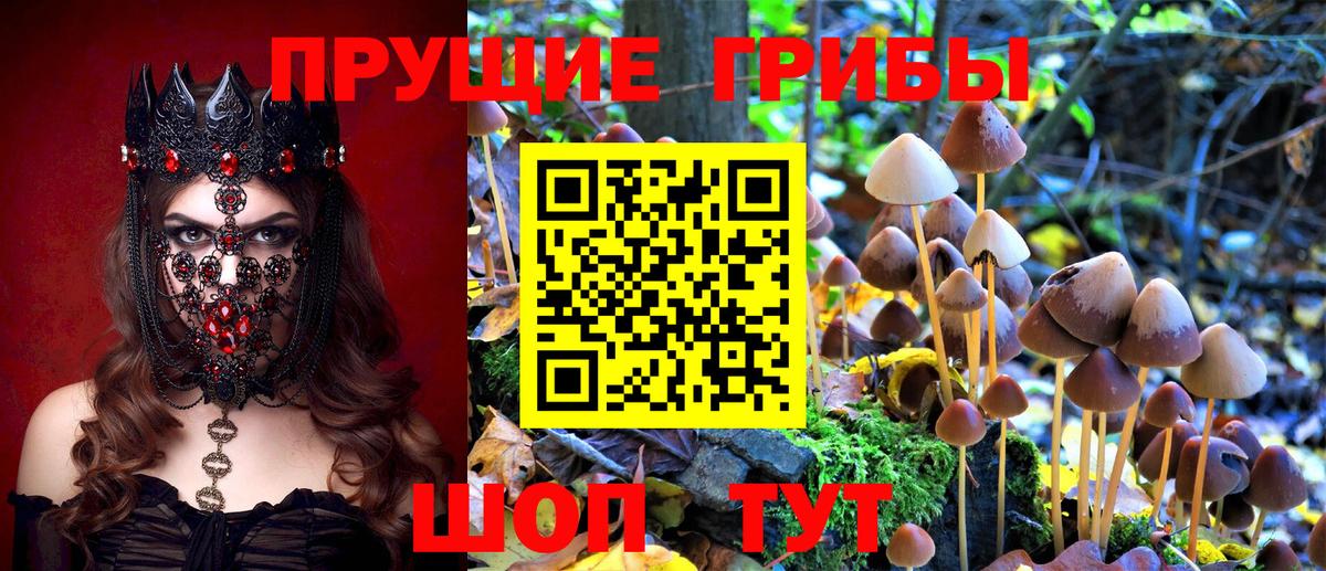 Псилоцибиновые грибы мухоморы Октябрьский
