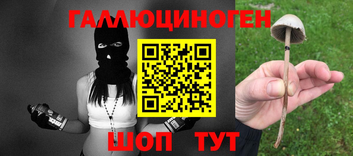 Псилоцибиновые грибы Psilocybine cubensis  Вход с VPN  Галлюциногенные грибы Psilocybe  Октябрьский 